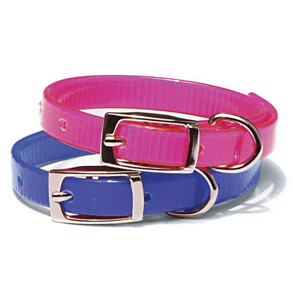 Nite Lite Day-Glo Puppy and Cat Collars - Huntsmart