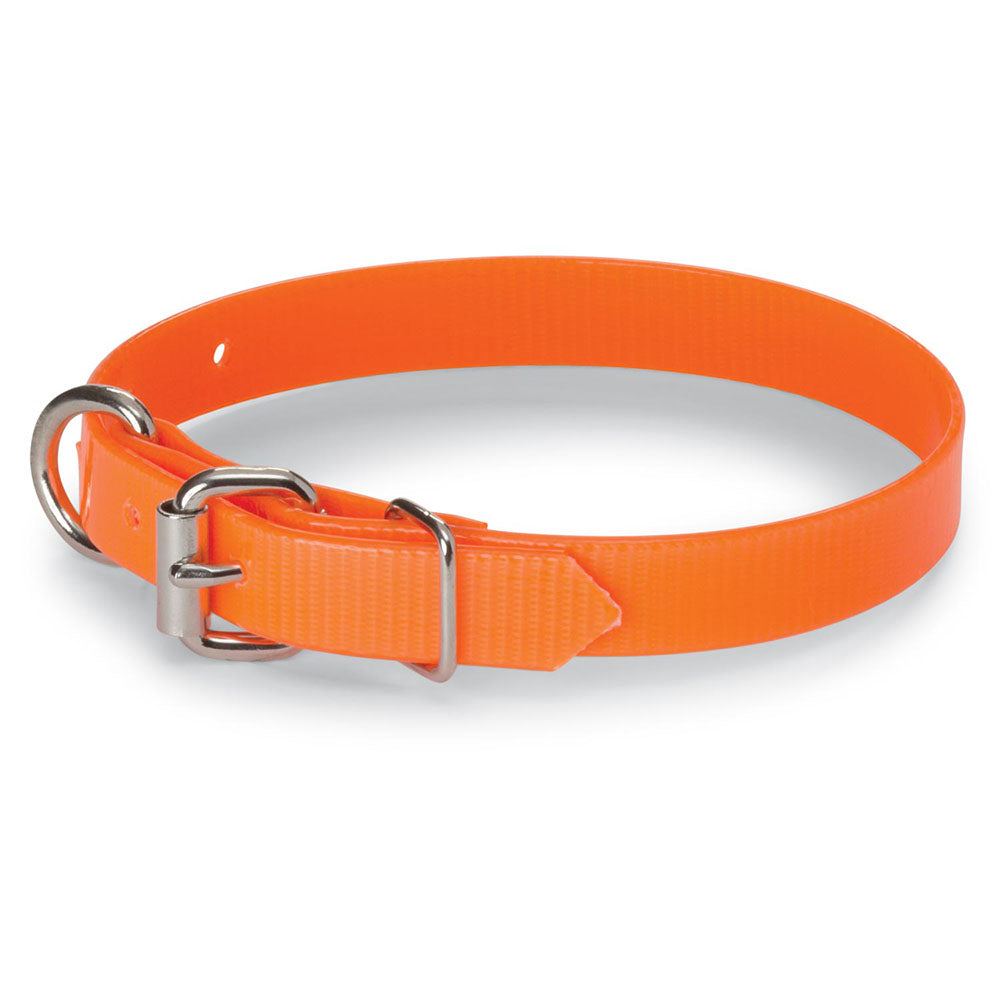 Nite Lite 3/4" Day-Glo Collar D-Ring in Front - Huntsmart