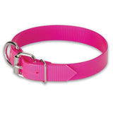 Nite Lite 3/4" Day-Glo Collar D-Ring in Front - Huntsmart