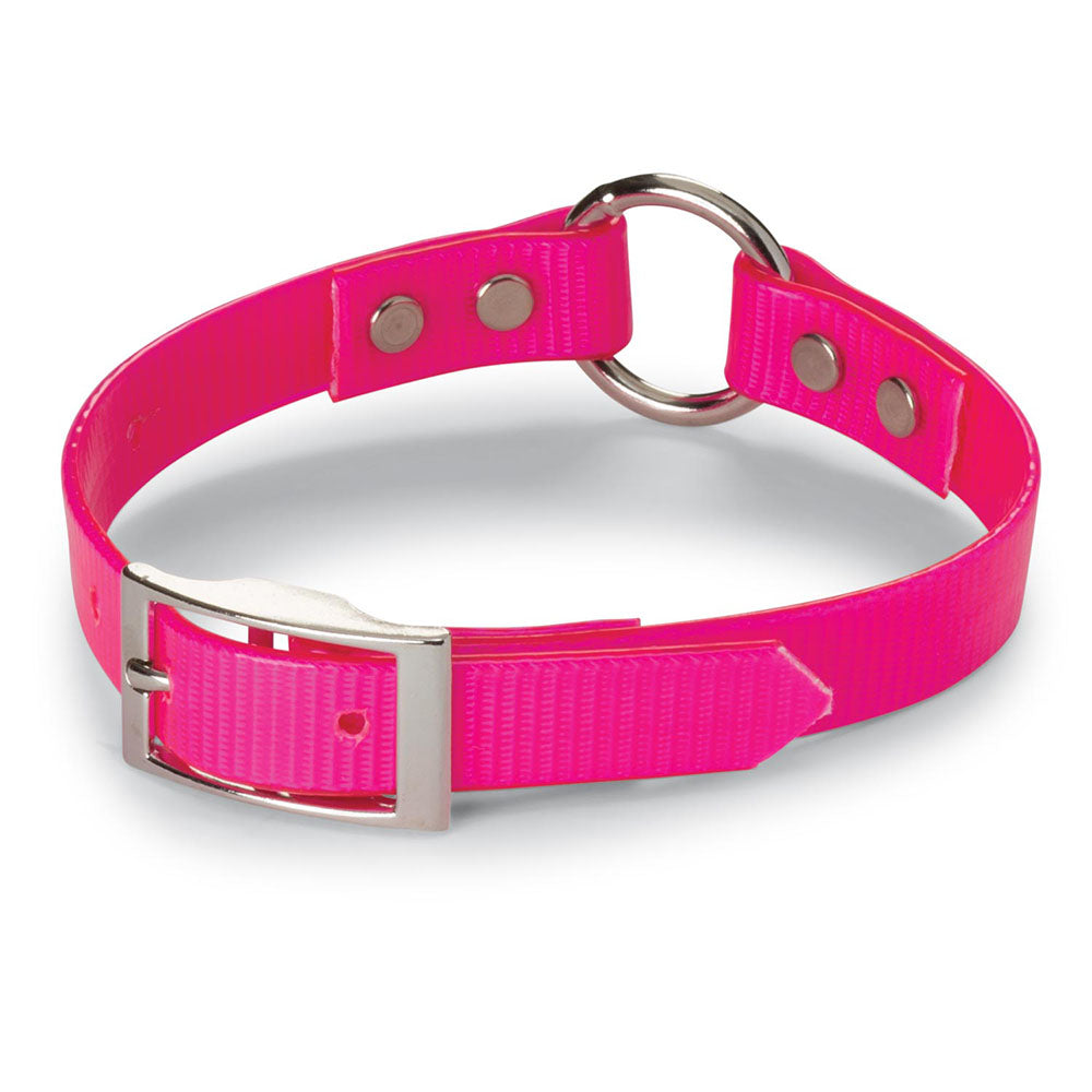 Nite Lite 3/4" Day-Glo Collar Ring-N-Center - Huntsmart