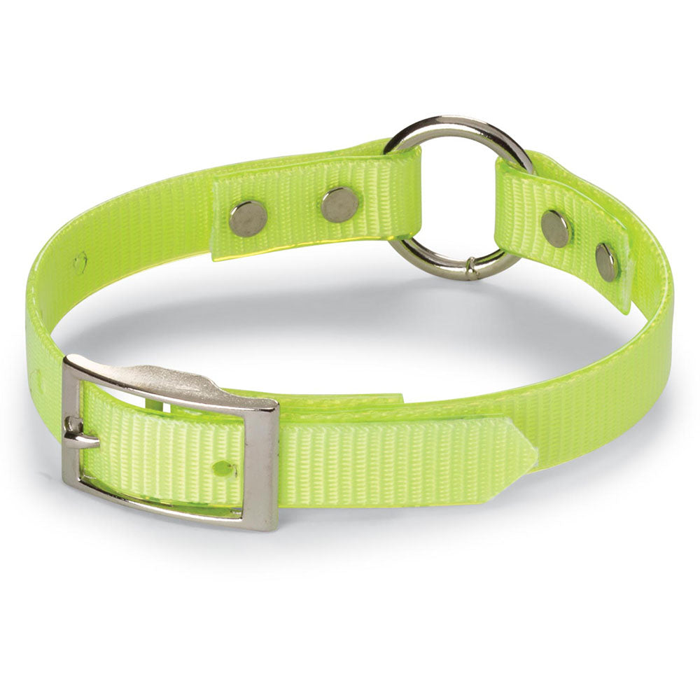 Nite Lite 3/4" Day-Glo Collar Ring-N-Center - Huntsmart