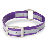 Nite Lite 1" Day-Glo Collar Ring-N-Center with Reflective Strip - Huntsmart