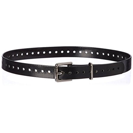 Garmin 1" Dog Collar Strap - Huntsmart