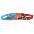 Garmin 1" Dog Collar Strap - Huntsmart