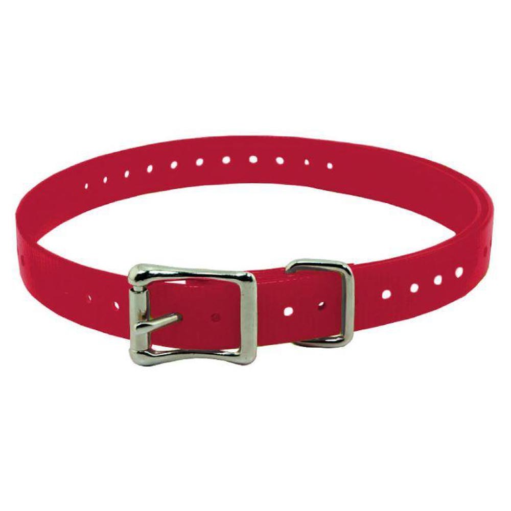 Garmin 1" Dog Collar Strap - Huntsmart