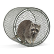 Dog Training Large 18" x 20" Raccoon Roll Cage - Huntsmart