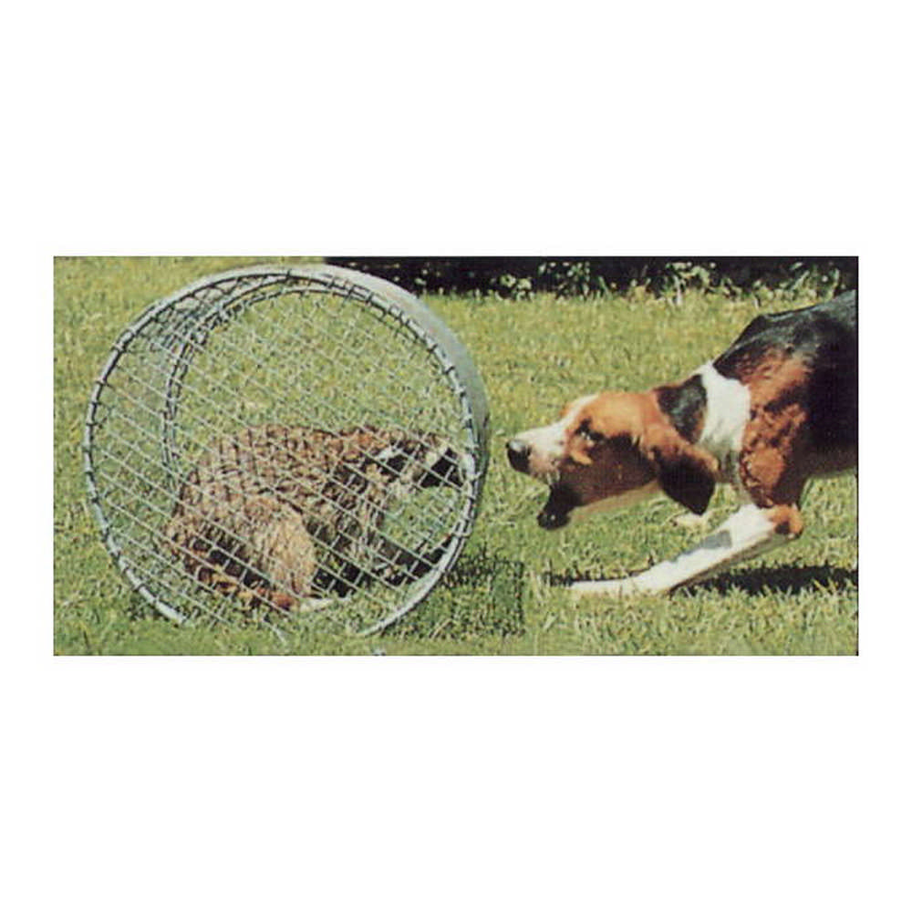 Dog Training Large 18" x 20" Raccoon Roll Cage - Huntsmart