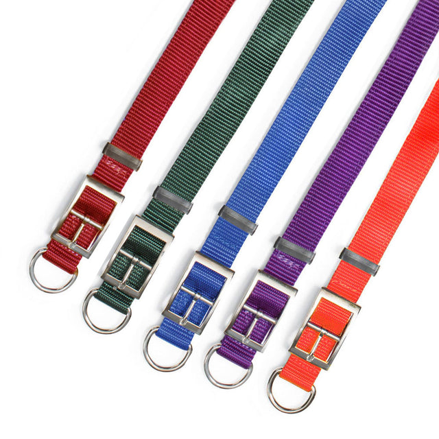 Nite Lite Double Ply Nylon 1" D-Ring in Front Dog Collar - Huntsmart