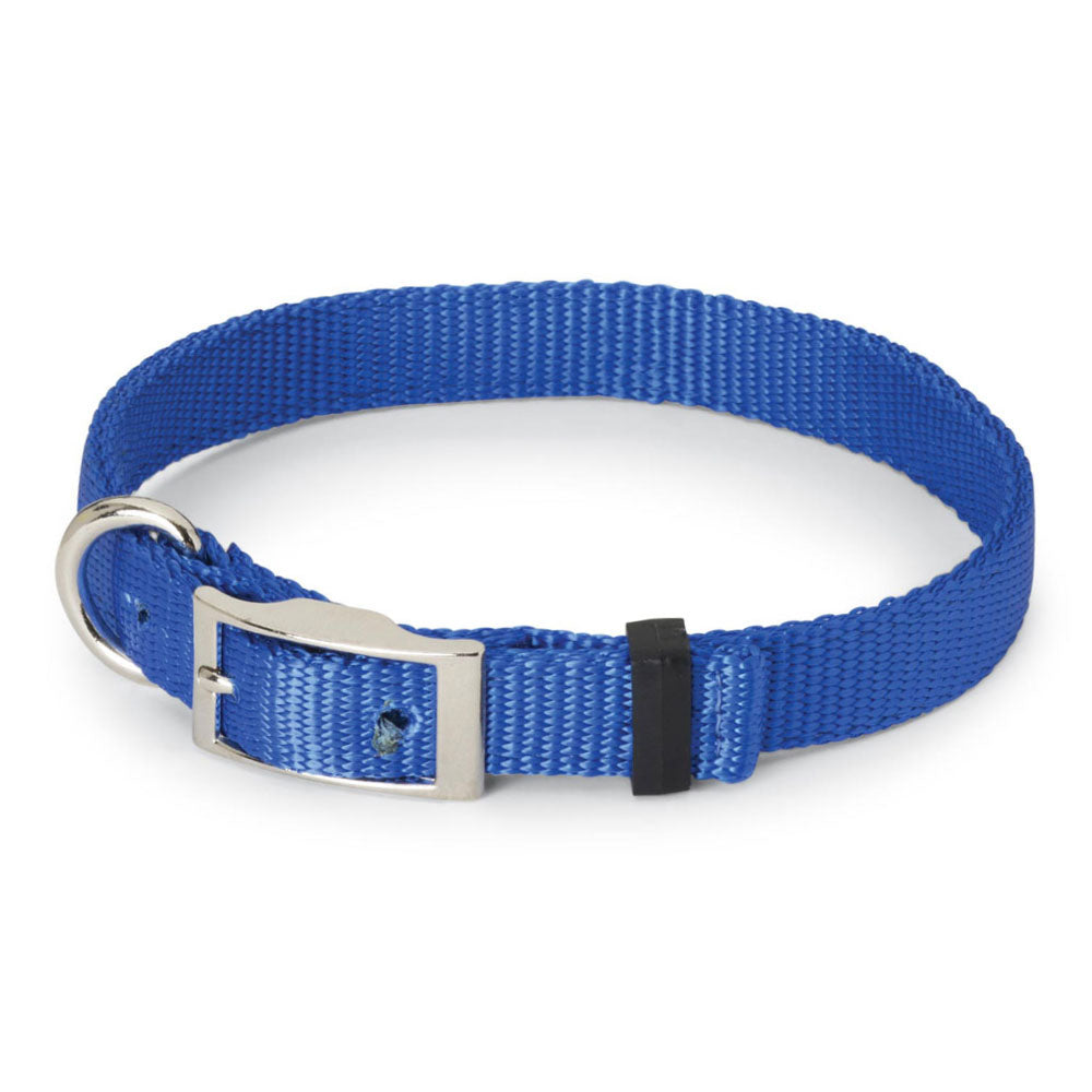 Nite Lite Double Ply Nylon 3/4" D-Ring in Front Dog Collar - Huntsmart