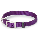 Nite Lite Double Ply Nylon 1" D-Ring in Front Dog Collar - Huntsmart