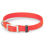 Nite Lite Double Ply Nylon 1" D-Ring in Front Dog Collar - Huntsmart