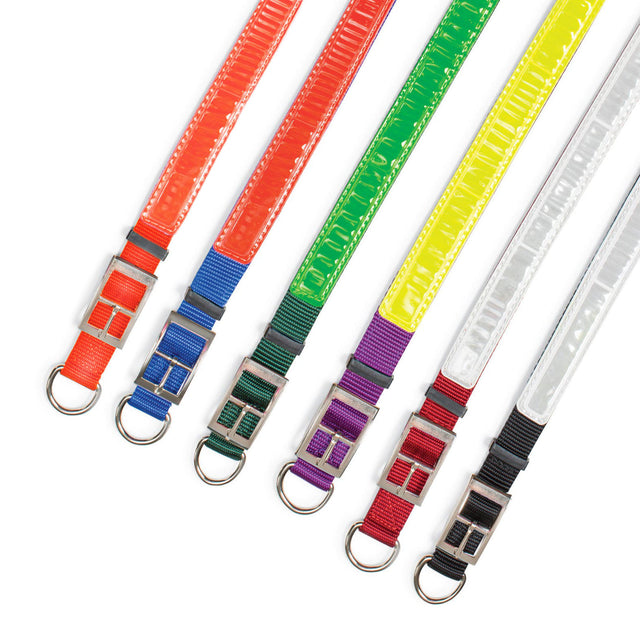 Nite Lite Reflexite Nylon 1" D-Ring in Front Reflective Dog Collar - Huntsmart