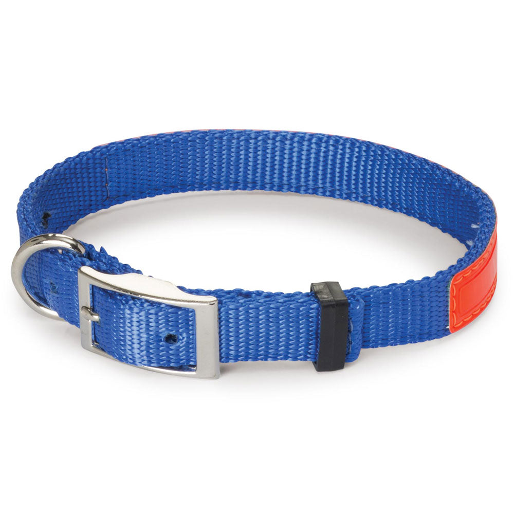 Nite Lite Reflexite Nylon 3/4" D-Ring in Front Reflective Dog Collar - Huntsmart