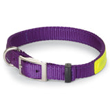 Nite Lite Reflexite Nylon 3/4" D-Ring in Front Reflective Dog Collar - Huntsmart