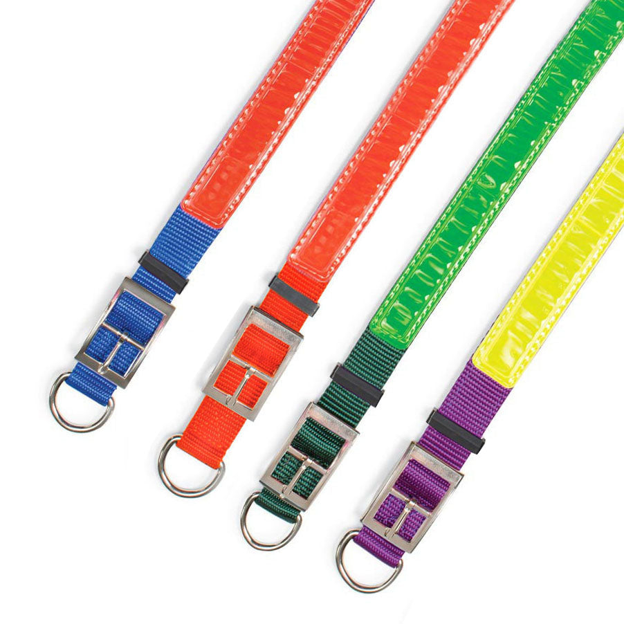 Nite Lite Reflexite Nylon 3/4" D-Ring in Front Reflective Dog Collar - Huntsmart